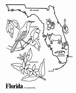 Florida coloring sheets