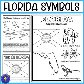 Florida symbols coloring pages flag