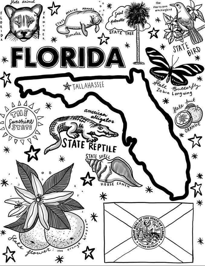 Florida coloring page