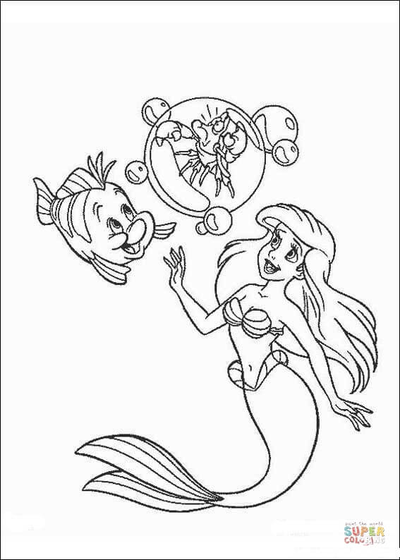 Ariel sebastian and flounder coloring page free printable coloring pages