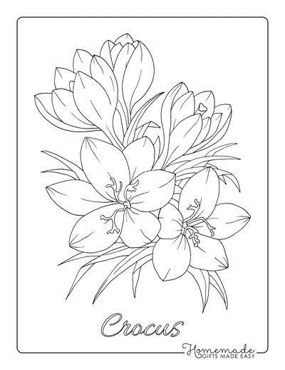 Free flower coloring pages for kids adults