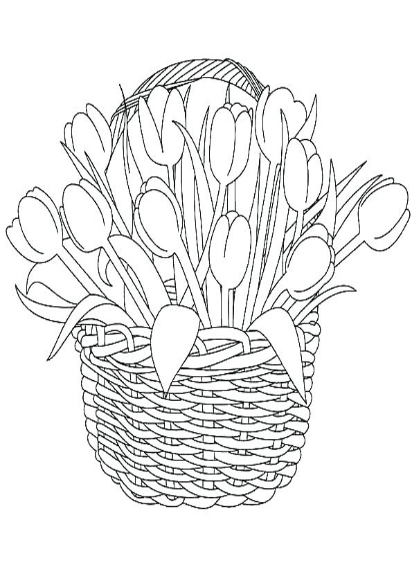 Coloring pages tulips flower basket coloring page