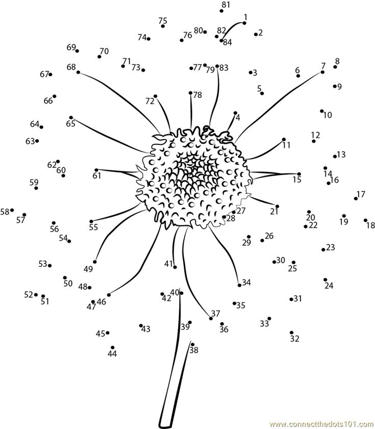 Connect the dots sun flower flowers sunflower