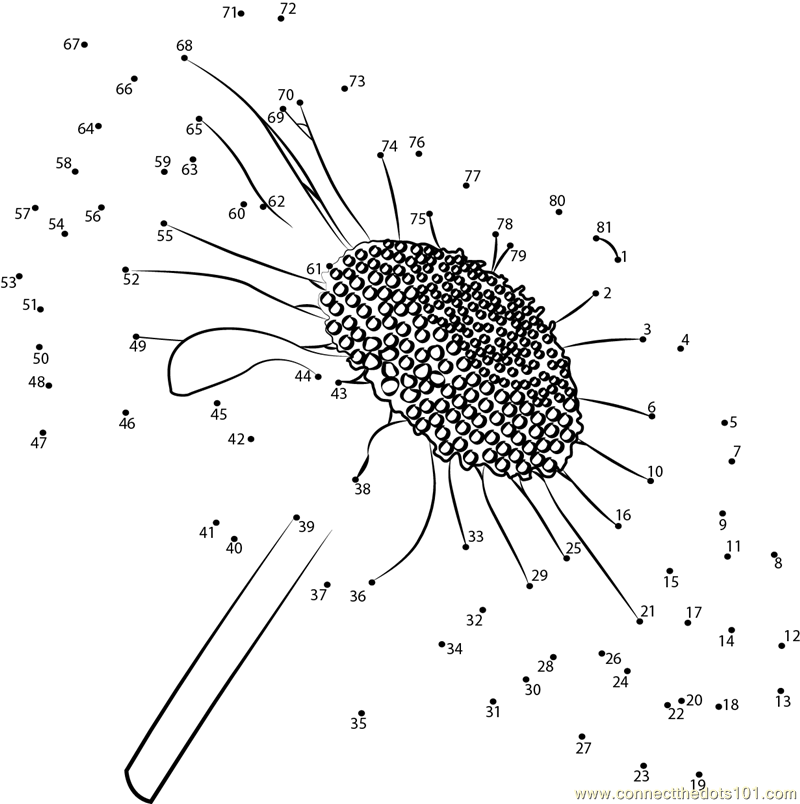 Daisy flower connect the dots worksheet connect the dots dot to dot puzzles dot to dot prtables