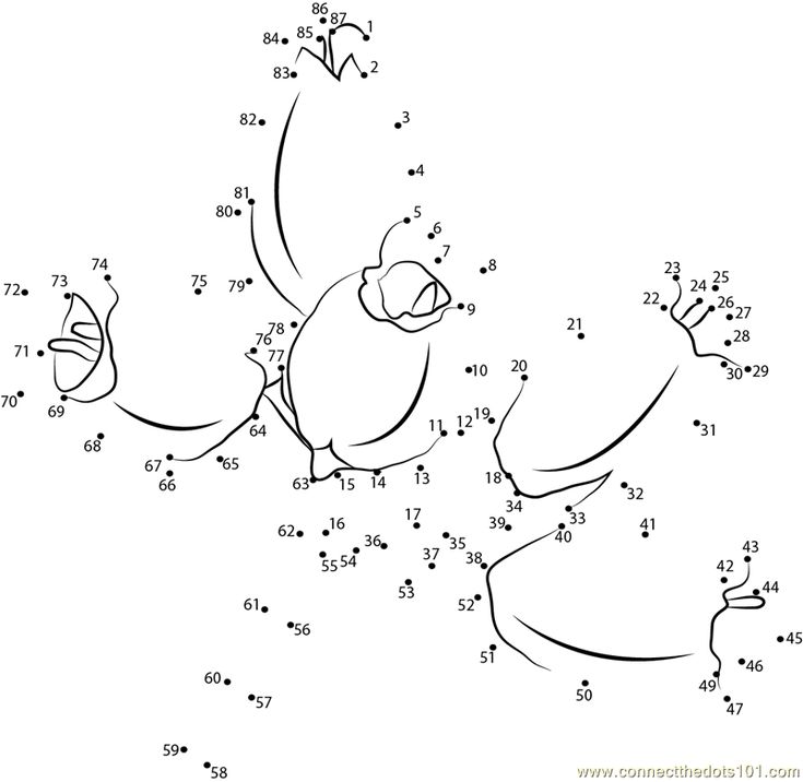 Heather flower connect the dots worksheet heather flower dots coloring pages