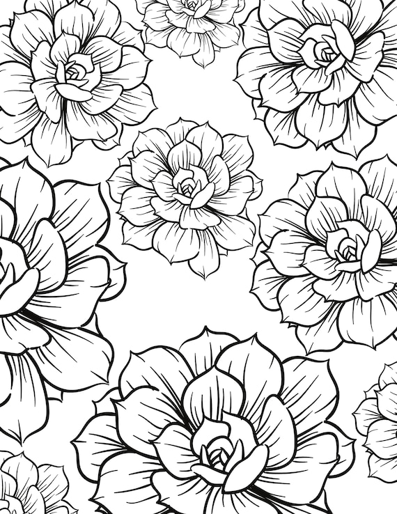 Flower coloring pages coloring pages flowers relax adult coloring digital digital download