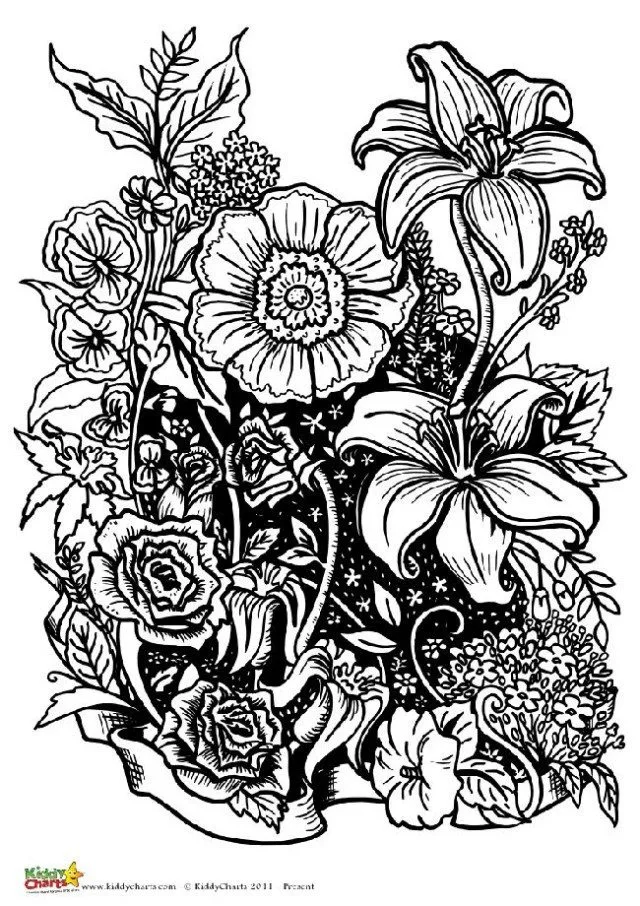 Adorable free flower coloring pages for adults