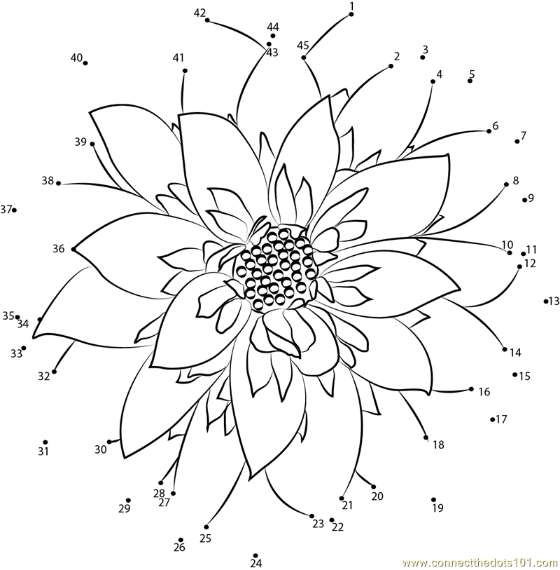 Dahlia flower connect the dots worksheet connect the dots dot to dot prtables dahlia flower