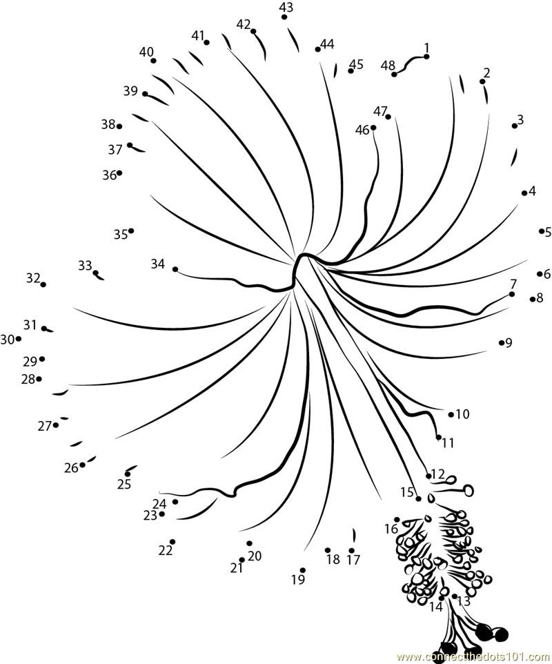 Hibiscus flower dot to dot printable worksheet