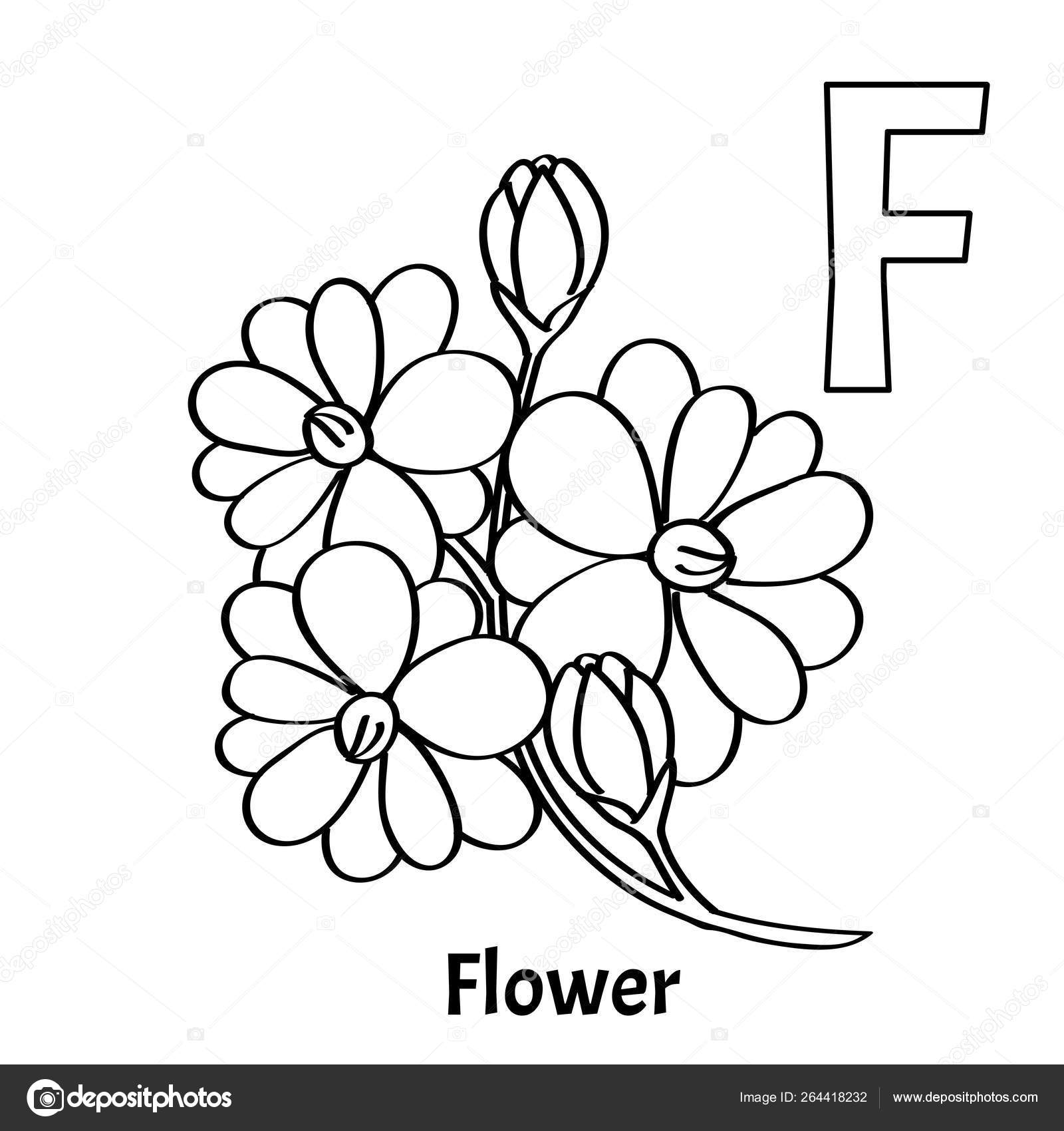 Vector alphabet letter f coloring page flower stock vector by saycheese