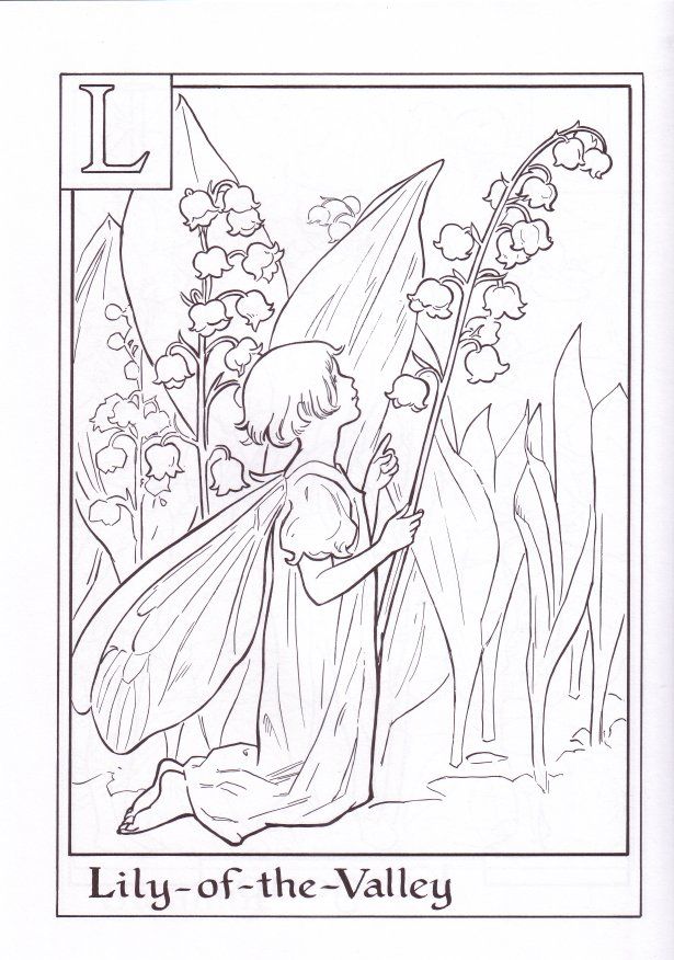 Flower fairies alphabet coloring book fairy coloring book fairy coloring pages fairy coloring