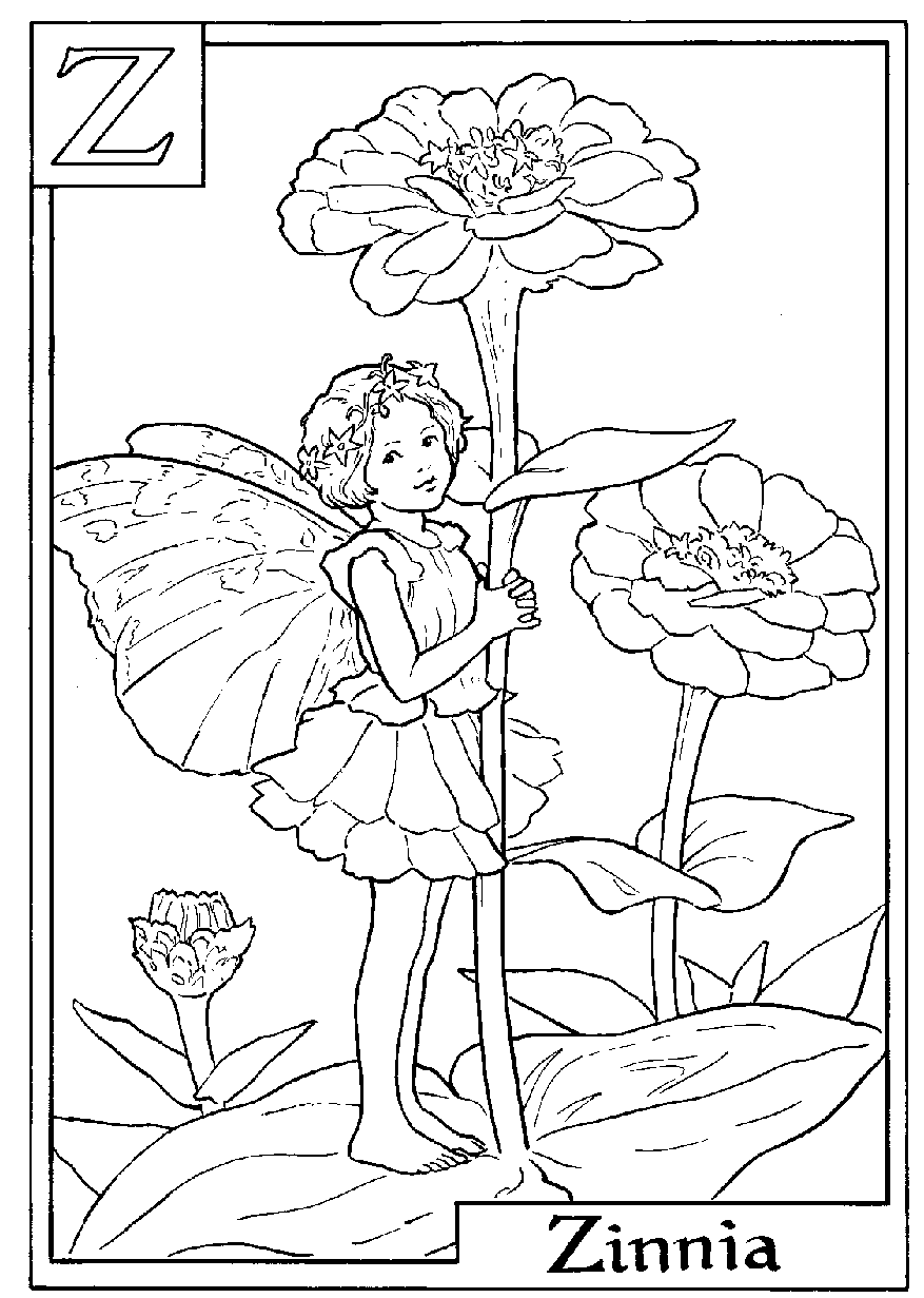 Zinnia flower fairy coloring page