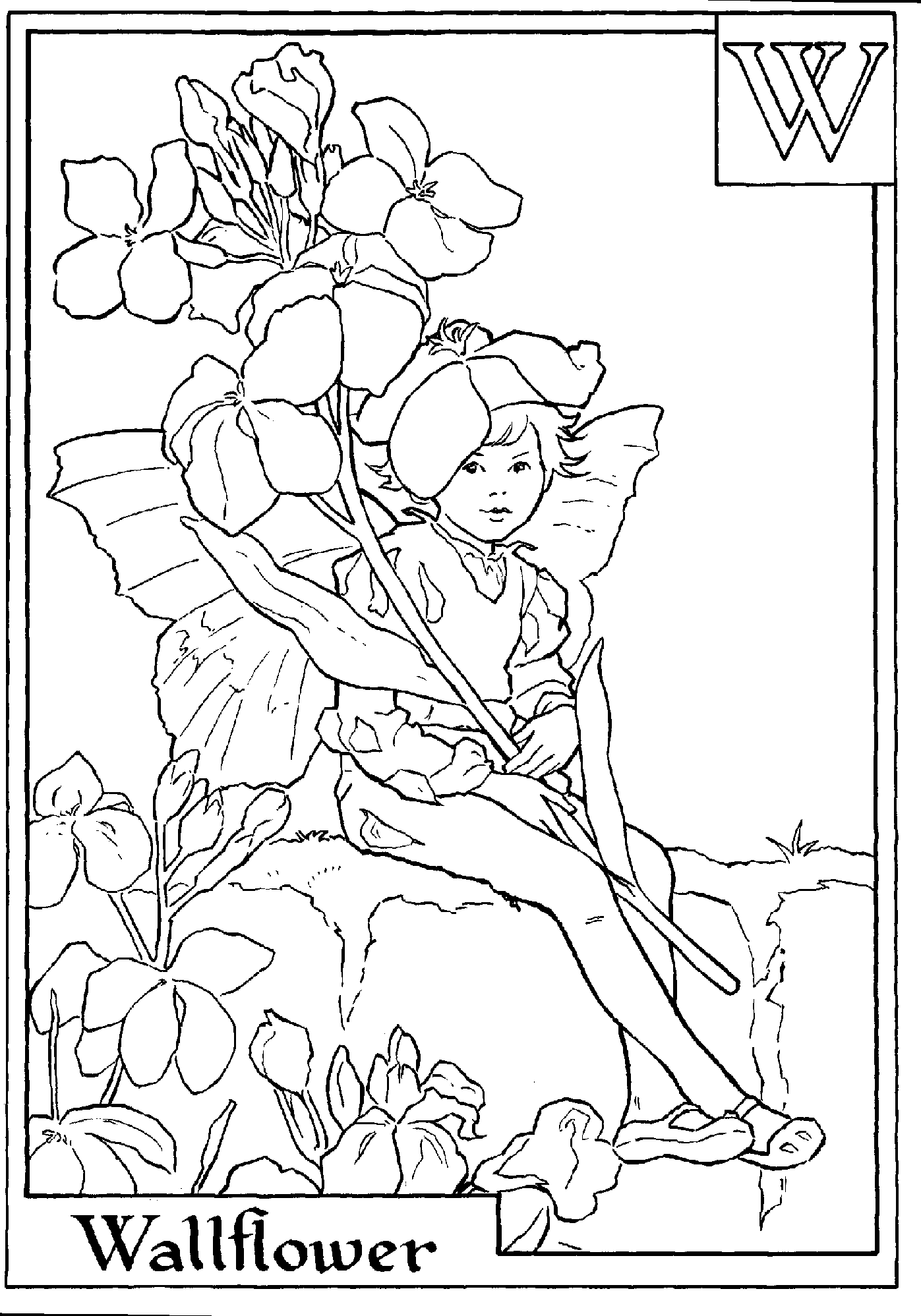 Flower fairies coloring pages fairy coloring pages fairy coloring coloring pages