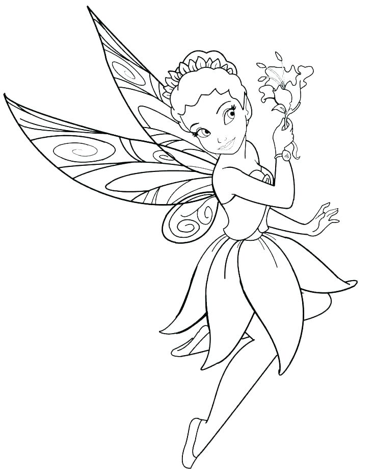 Coloring pages fairies coloring pictures flower fairy pages