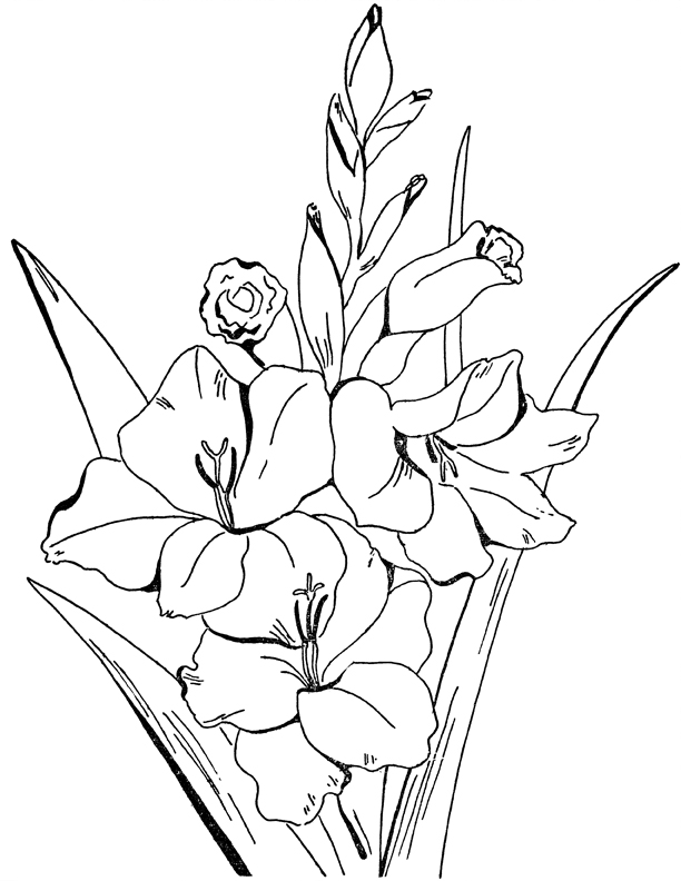 Flower coloring pages for adults