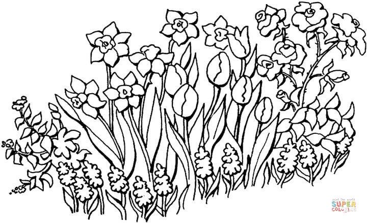 Flowers in the garden coloring page free printable coloring pages