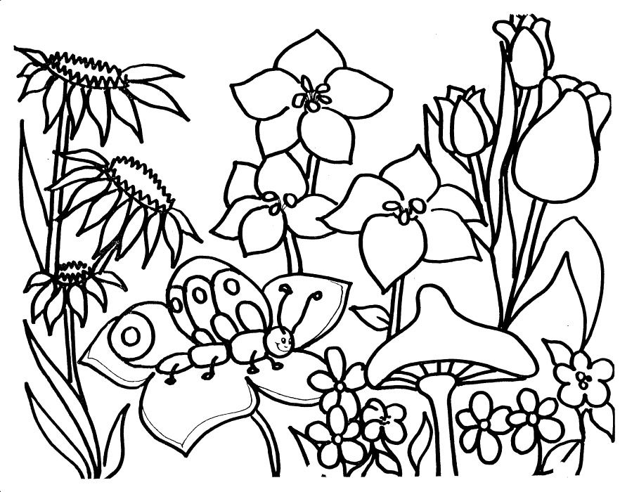 Flower garden coloring pages spring coloring pages flower coloring sheets coloring pages