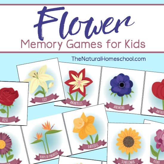 Free flower matching game printable