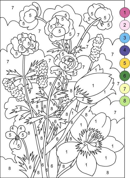 Nicoles free coloring pages color by numbers flowers coloring page