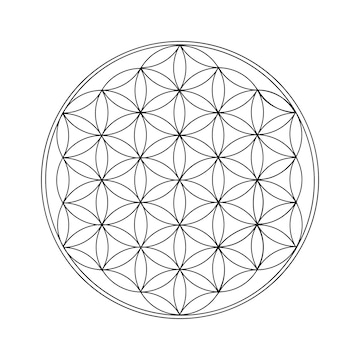 Premium vector flower of life black outline sacred geometry