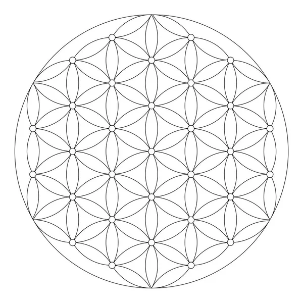 Flower of life symbol coloring page