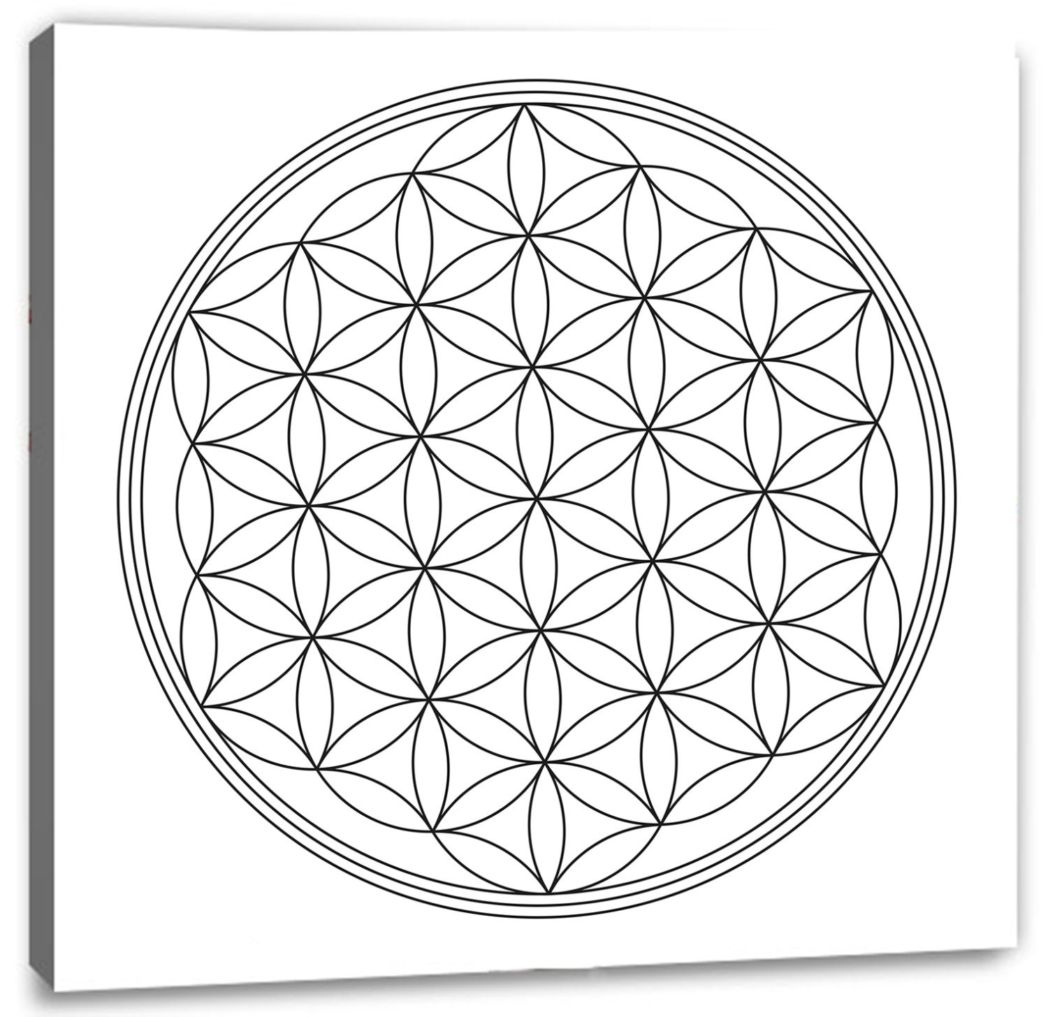 Buy flower of life art therapy coloring canvas canvas coloring online in india