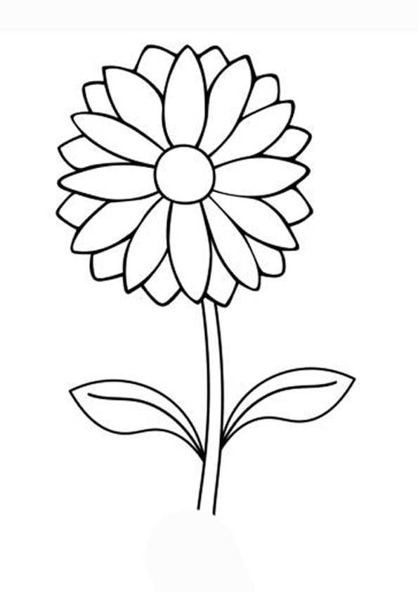 Coloring pages simple daisy flower coloring pages