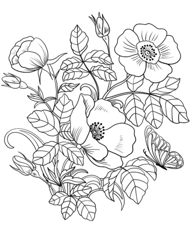 Spring flowers coloring page free printable coloring pages