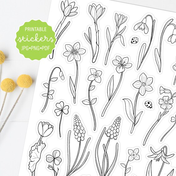 Spring wildflower coloring printable stickers floral decorative stickers planner stickers color and cut sticker sheet digital download