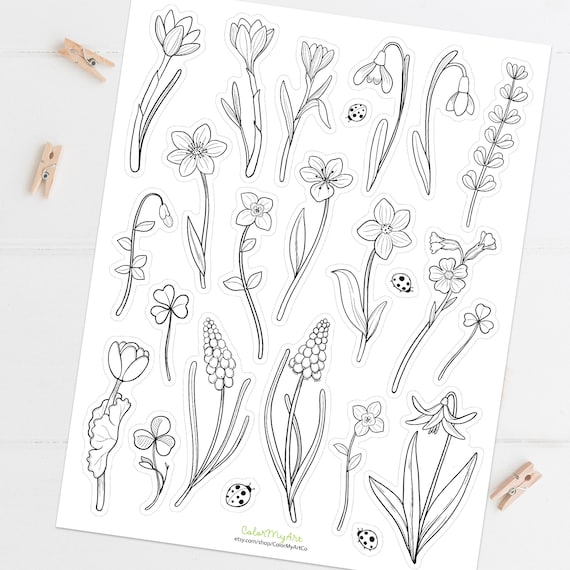 Spring wildflower coloring printable stickers floral decorative stickers planner stickers color and cut sticker sheet digital download