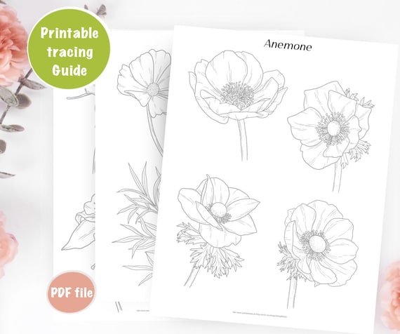 Buy flower tracing guides learn to draw flowers coloring pages printable worksheets digital download how to draw anemone iris more online in india