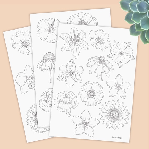 Learn to draw flowers tracing guides coloring pages printable worksheet digital download hibiscus rose daffodil anemone and more download now