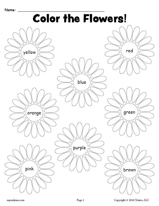 Printable flower color words worksheet â