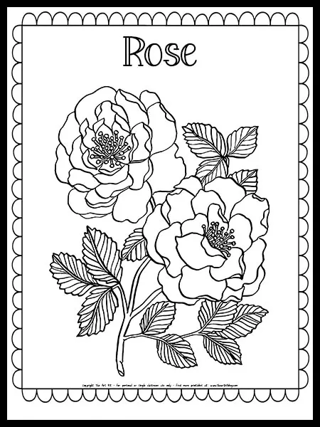 Rose coloring page free printable â the art kit