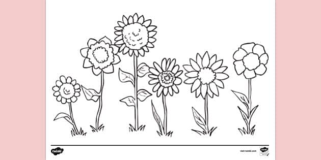 Colouring page of flowers for kids