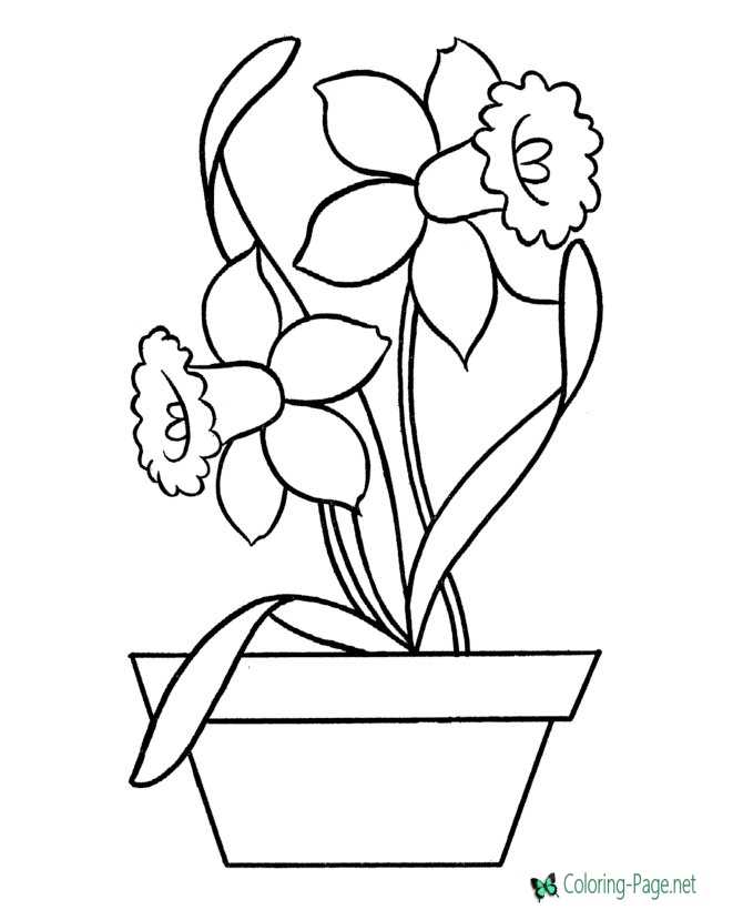 Flower coloring pages