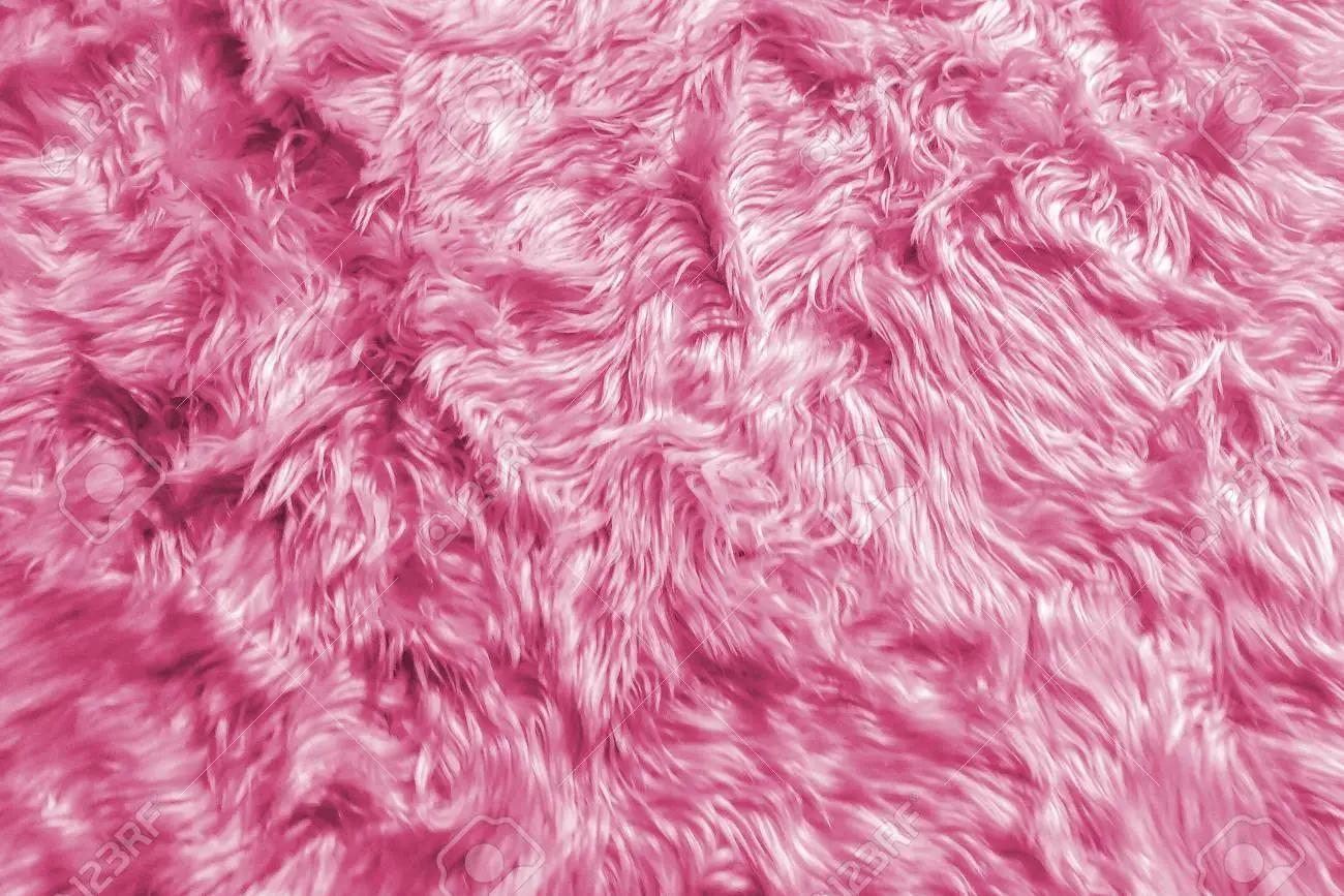Free Stock Photo of Pink fluffy animal fur texture