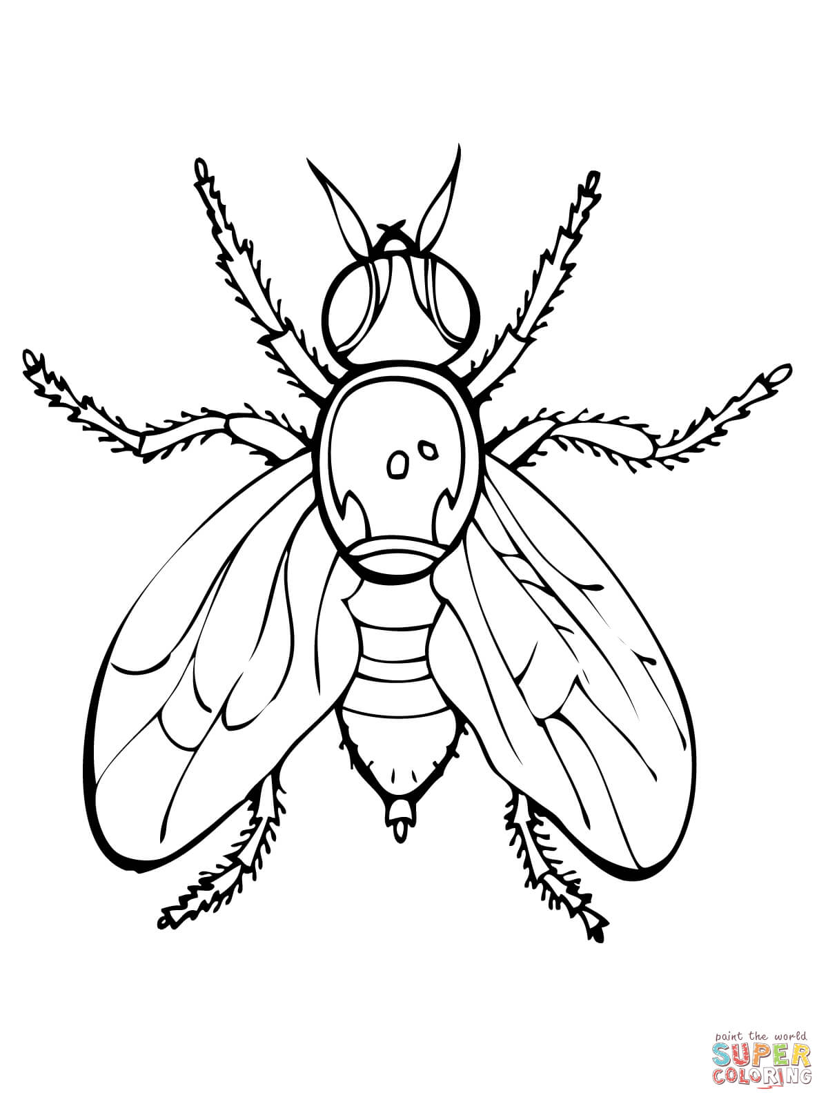 Fruit fly coloring page free printable coloring pages
