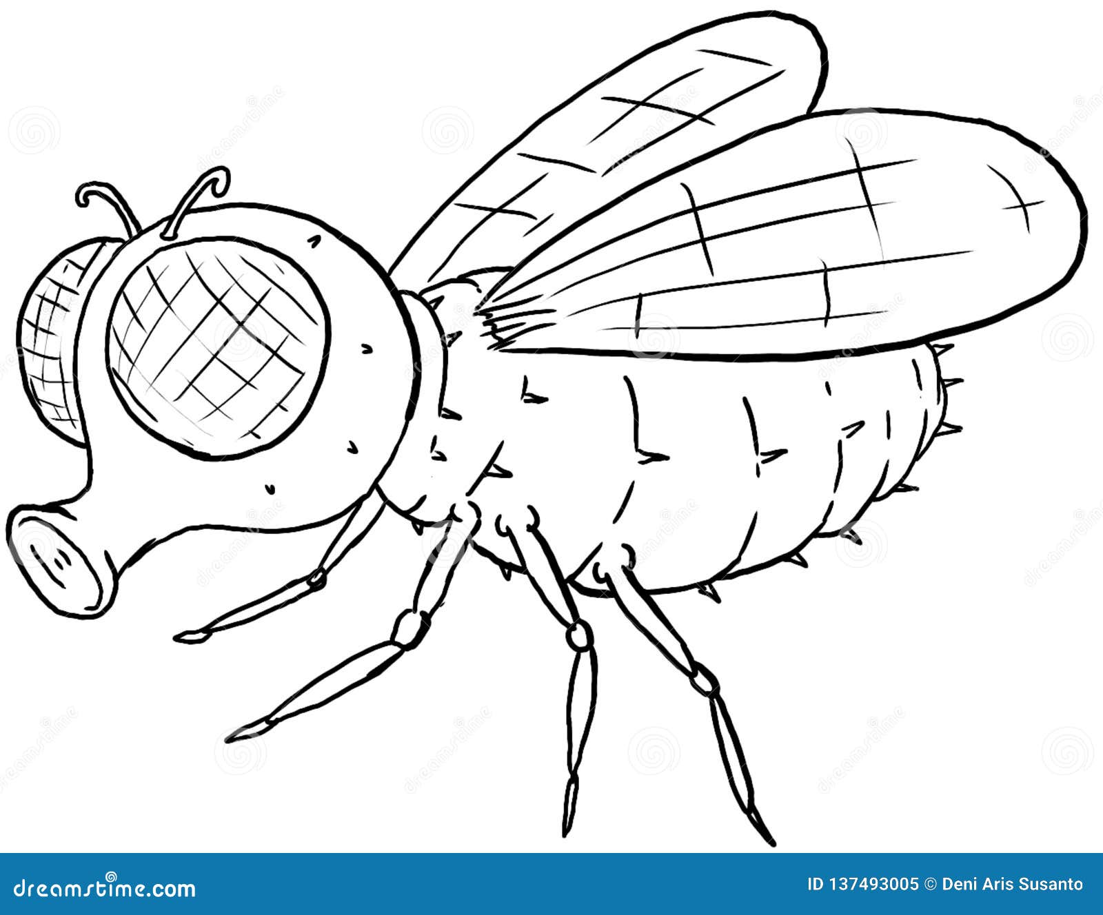 Illustration of cute fly cartoon coloring page stock illustration