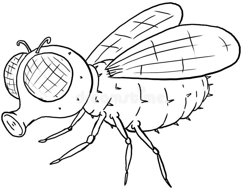 Illustration of cute fly cartoon coloring page stock illustration