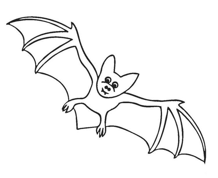 Best free printable bat coloring pages for kids bat coloring pages coloring pages halloween coloring pages