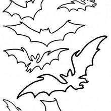 Camp of flying black bats coloring pages