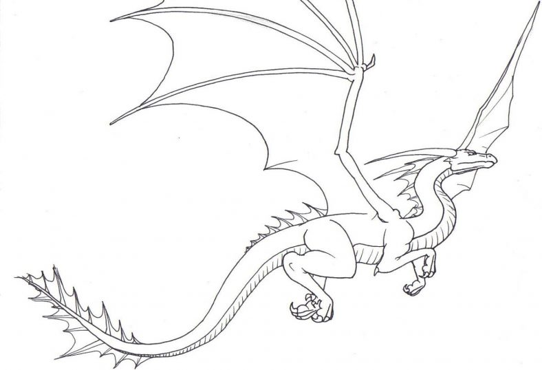 Amazing dragon coloring pages to print coloring dragon sketch dragon coloring page easy drawings sketches