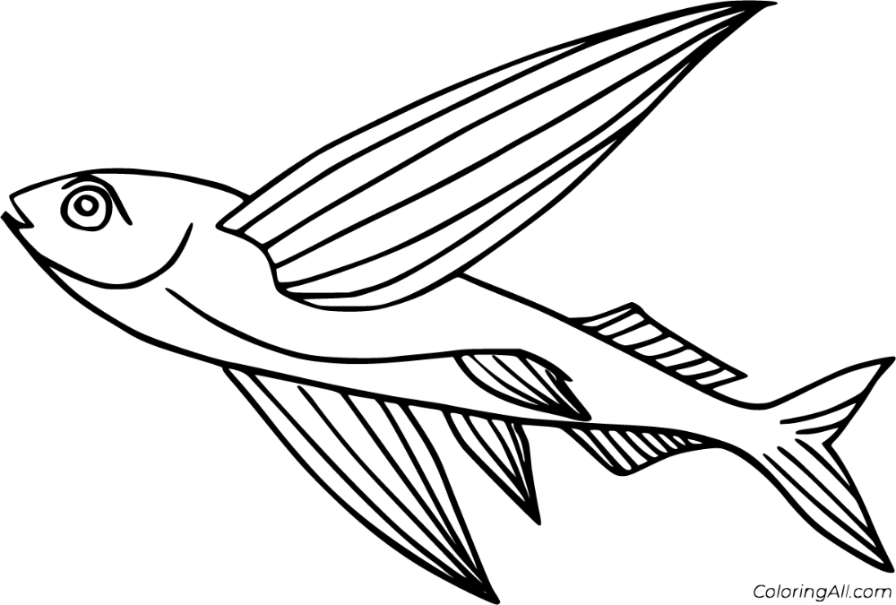 Free printable flying fish coloring pages in vector format easy to print from any device and automatically fit any pâ fish coloring page coloring pages color