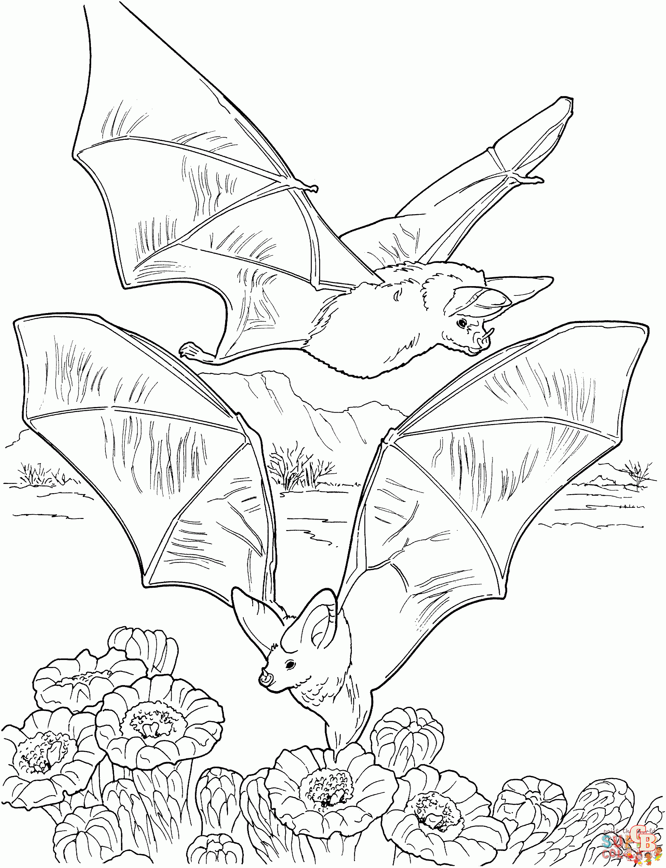 Fun and free bat coloring pages for kids