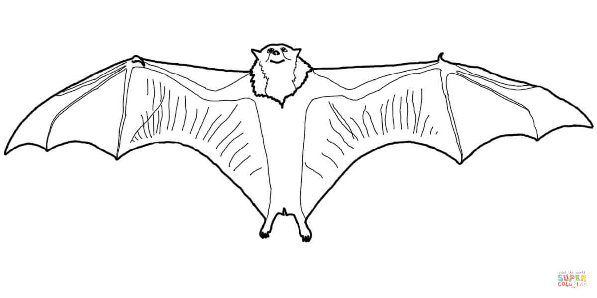 Flying fox coloring page free printable coloring pages