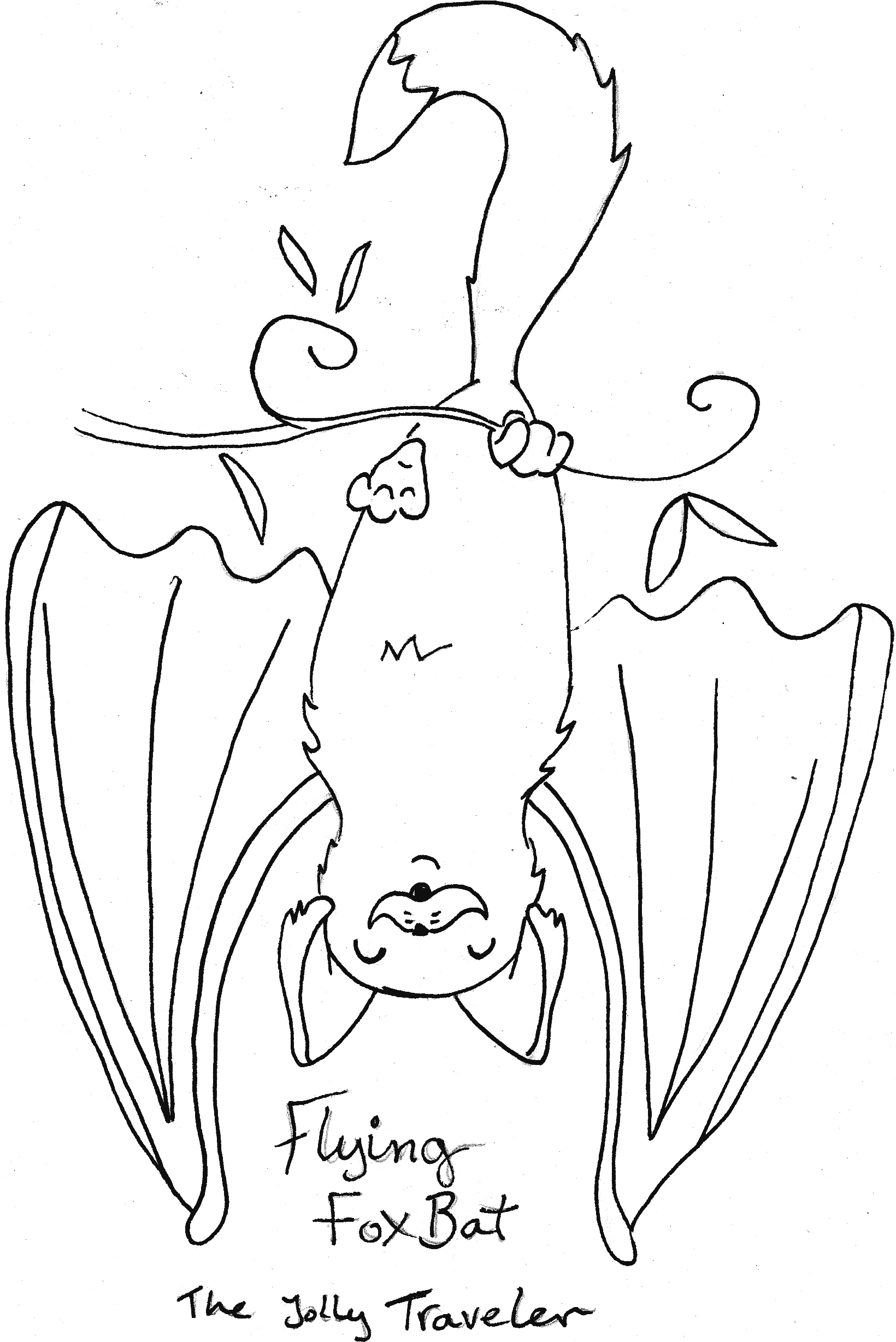 Foxbat coloring page fruitbats pany