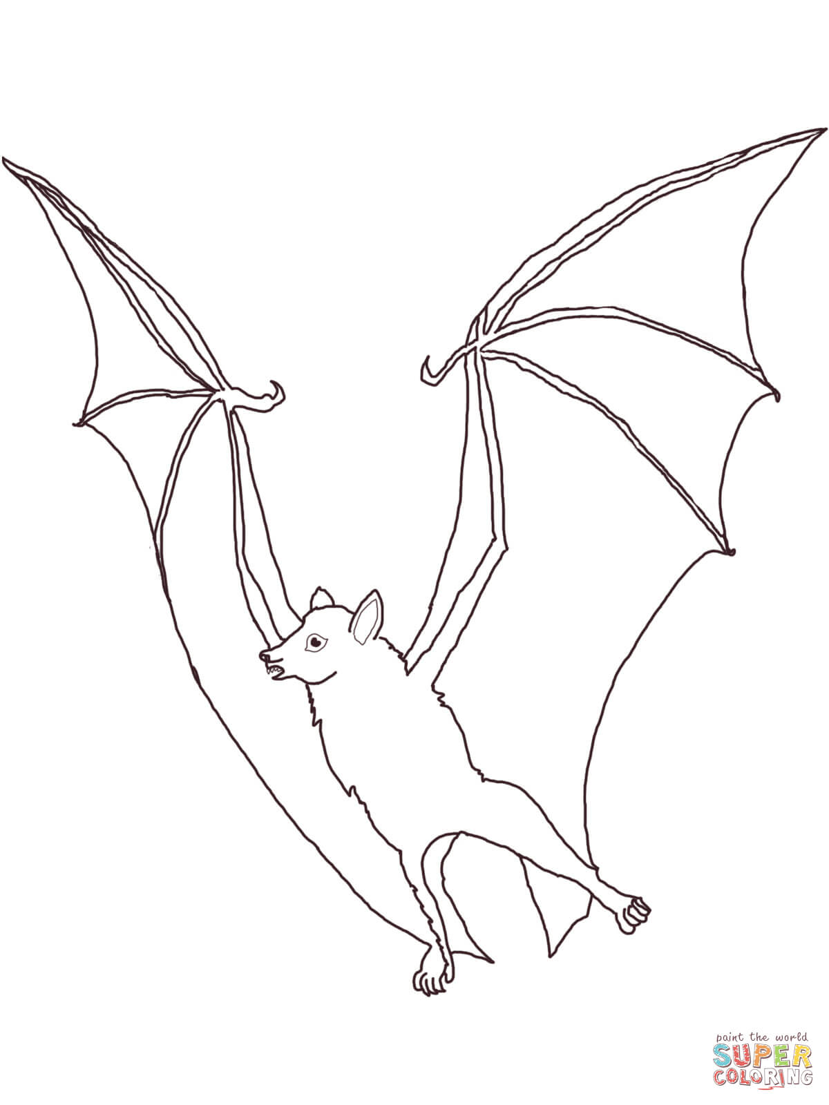 Megabat flying fox coloring page free printable coloring pages