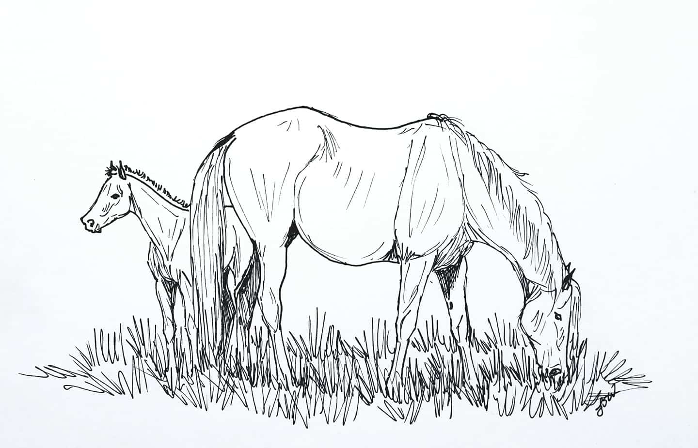 Ranching coloring pages