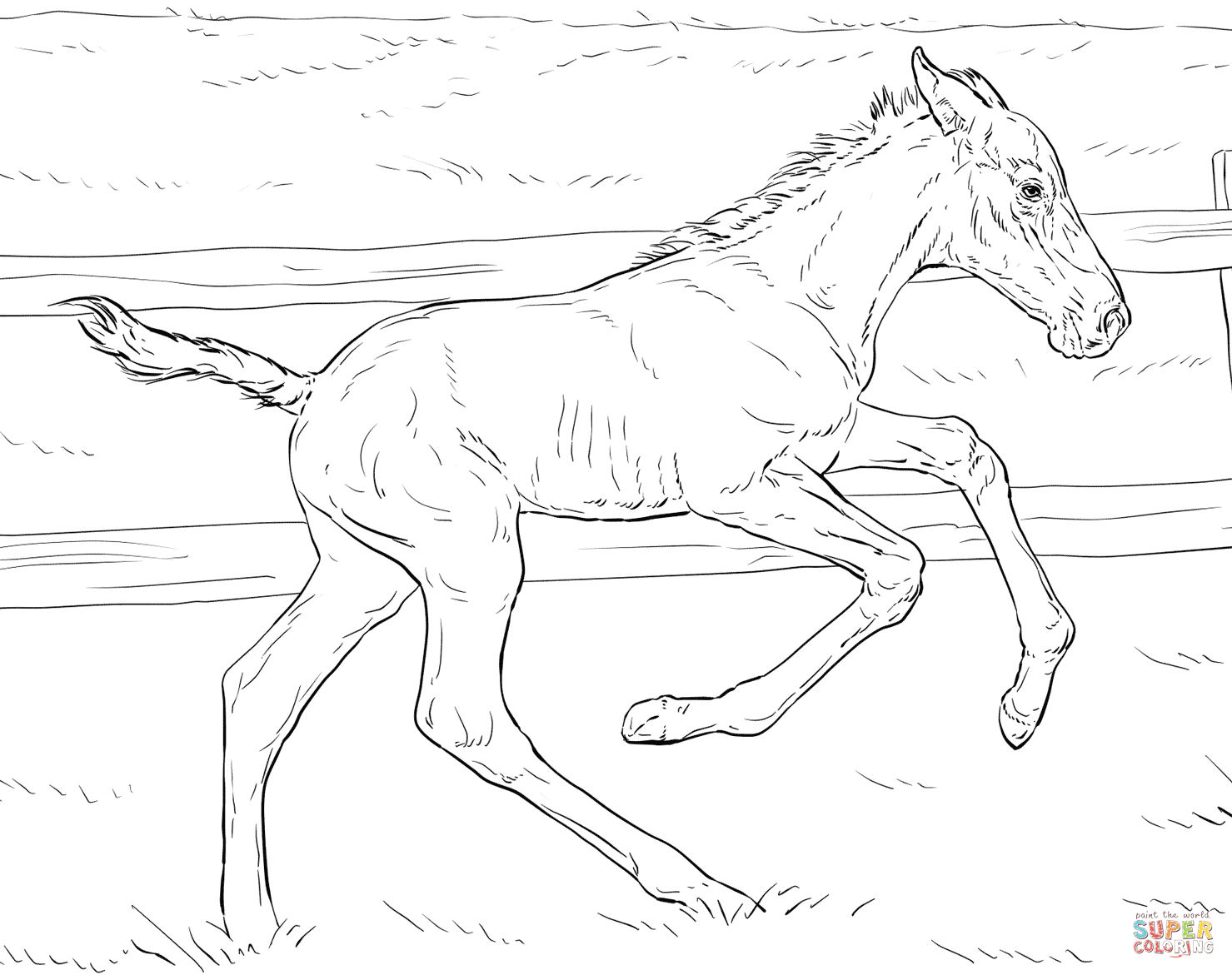 Bucking foal coloring page free printable coloring pages